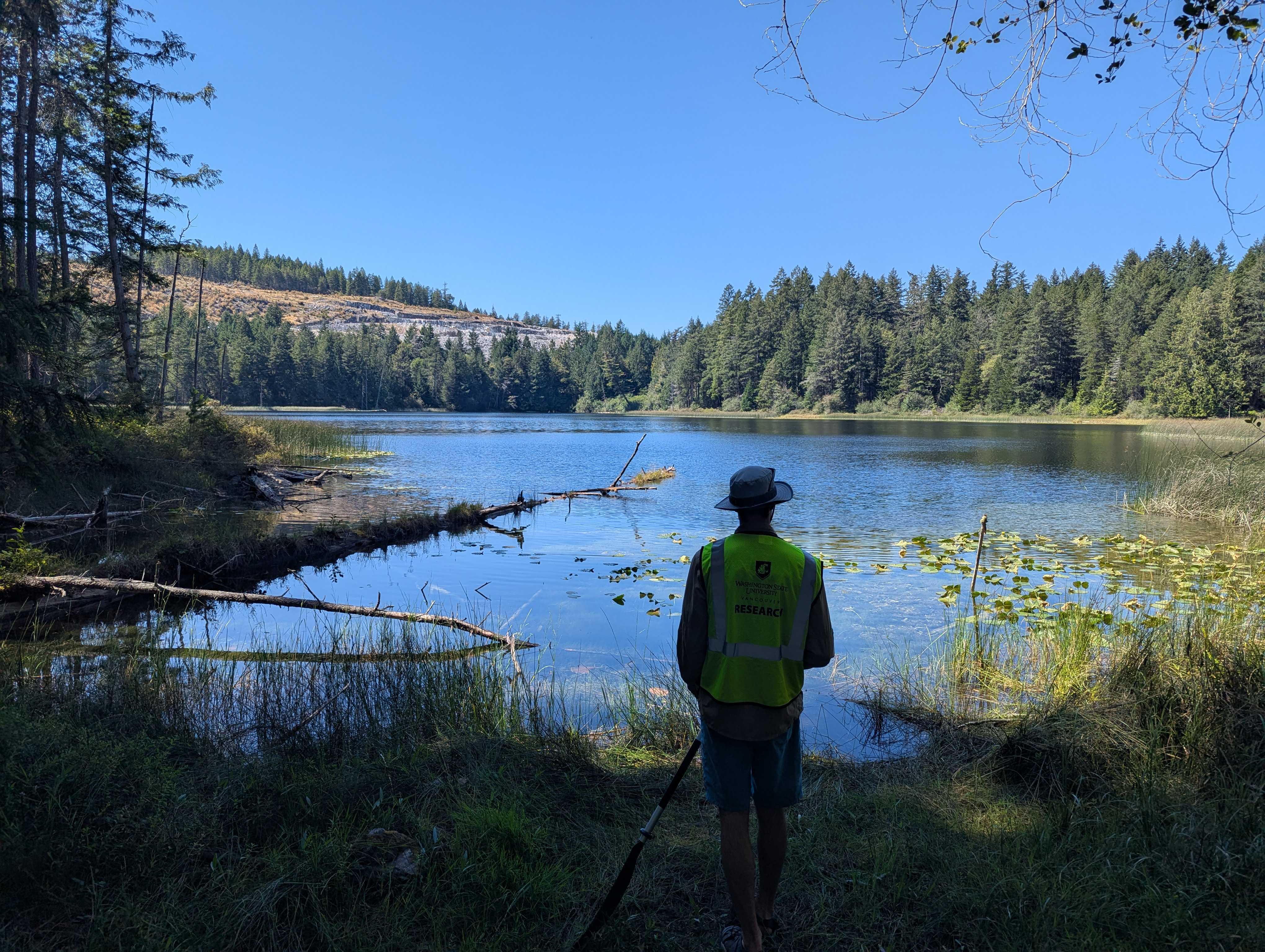 The view at Paxton Lake; Texada Island, BC